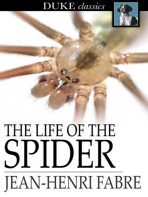 Cover of The Life of the Spider